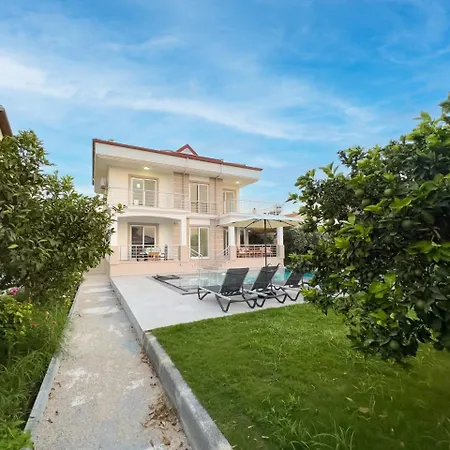 Villa Arok *